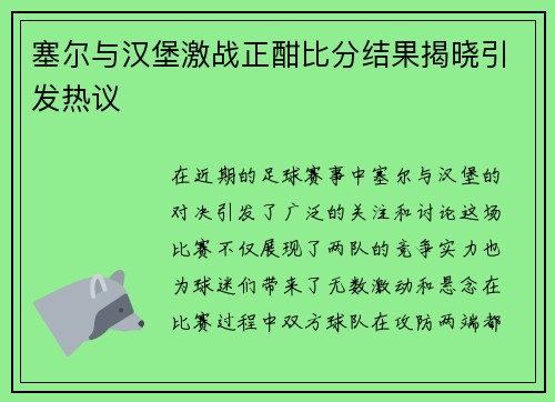 塞尔与汉堡激战正酣比分结果揭晓引发热议